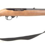 Ruger 10/22